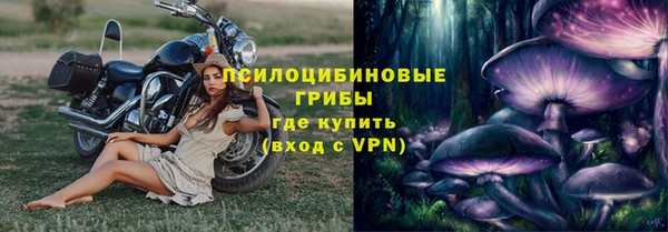 бошки Покачи