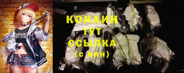гидра Армянск