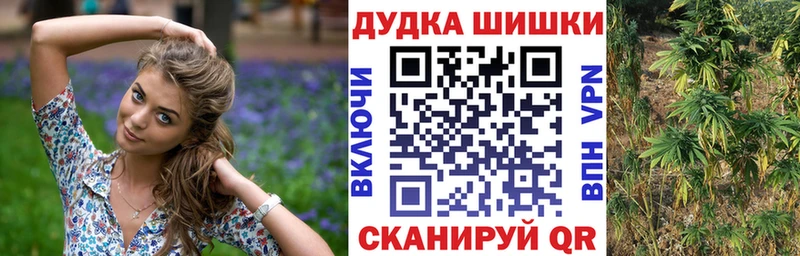 Шишки марихуана SATIVA & INDICA  купить наркоту  Стародуб 